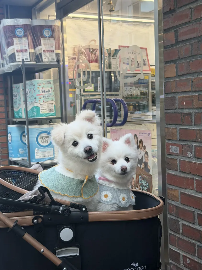 왕자님💖