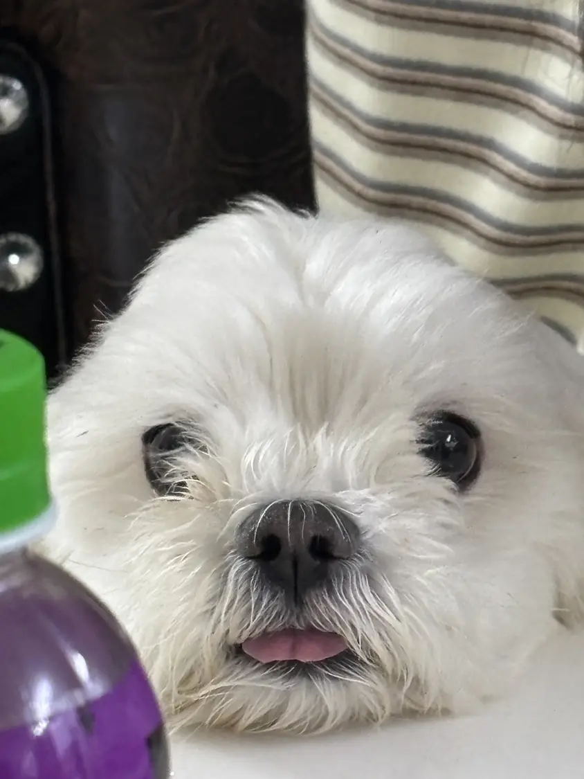 송이❄️