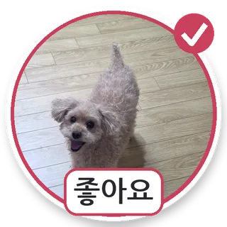 좋아요 스티커