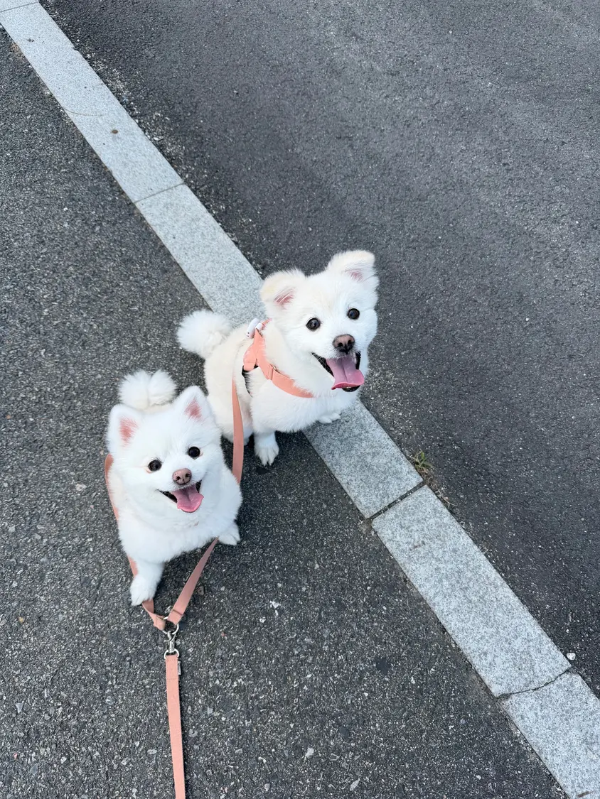 왕자님💖