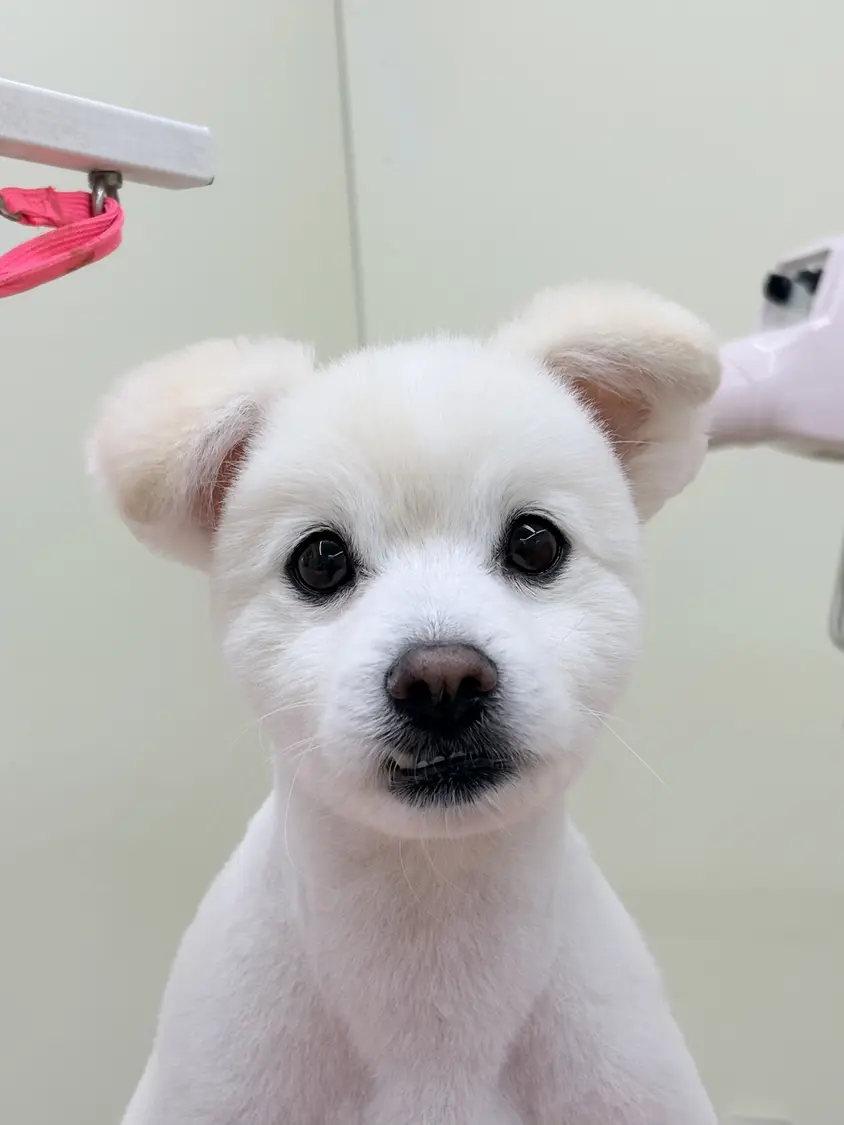 왕자님💖
