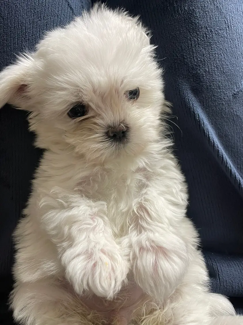 송이❄️