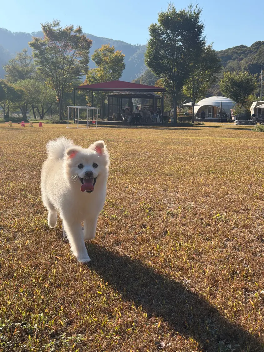왕자님💖